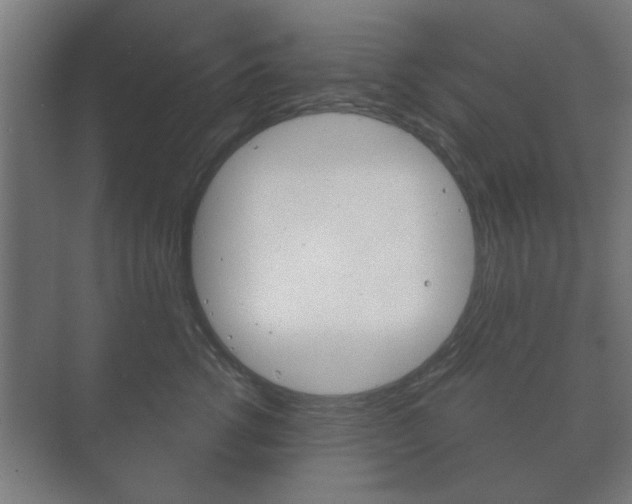 X0000073700762200608031014