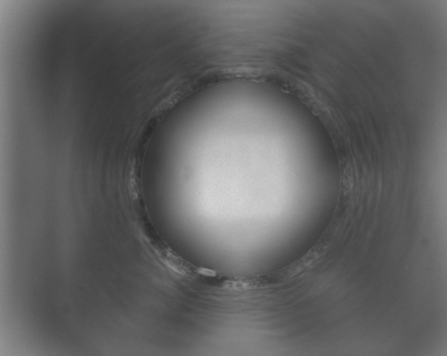 X0000073700764200608031014