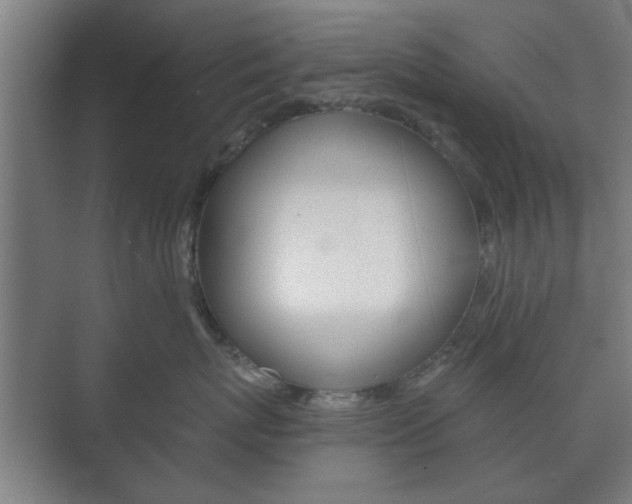 X0000073700767200608031014