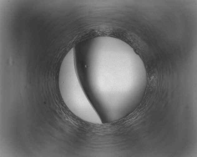 X0000073700772200608031014