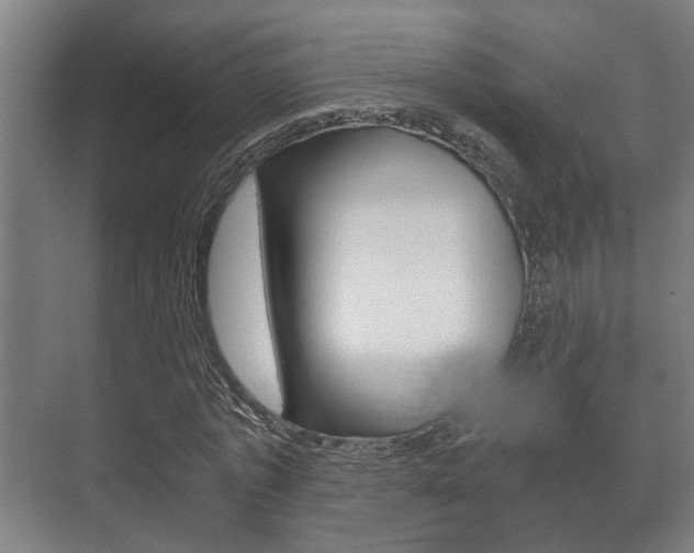 X0000073700773200608031014