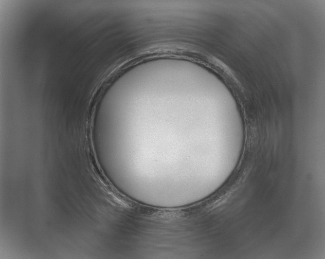 X0000073700778200608031013