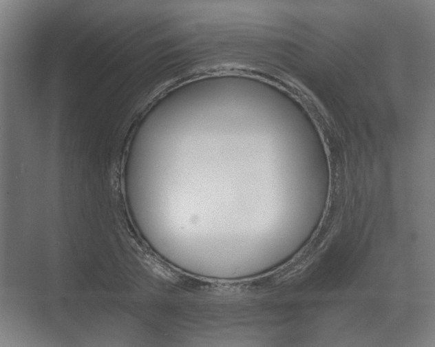 X0000073700785200608031013