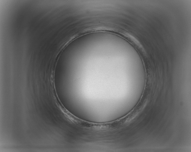 X0000073700793200608031013