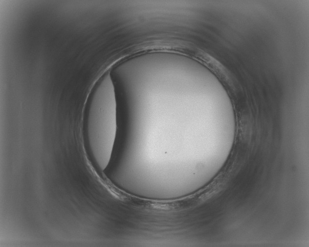X0000073700794200608031013