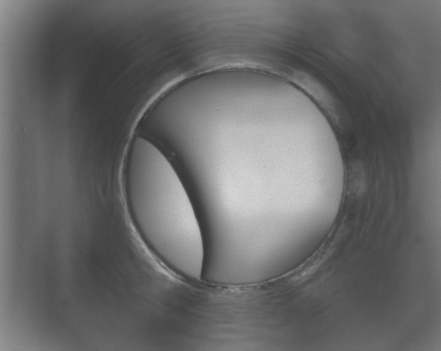 X0000073700806200608031013