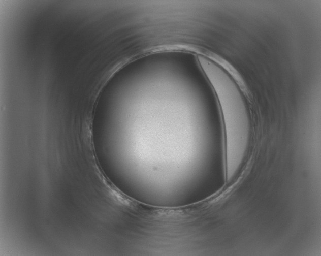 X0000073700809200608031013