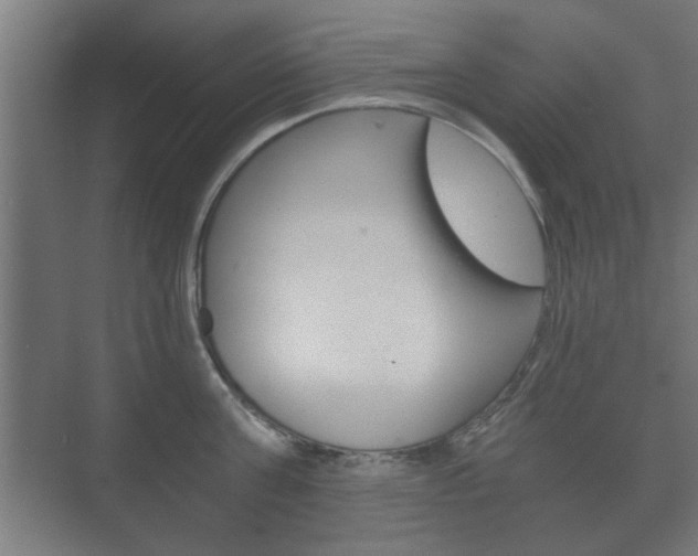 X0000073700811200608031013