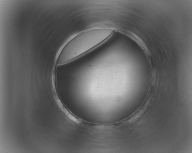 X0000073700812200608031013