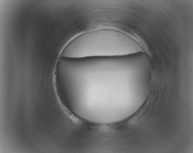 X0000073700814200608031013