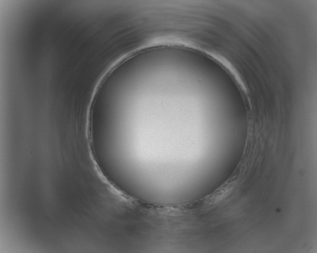 X0000073700815200608031013