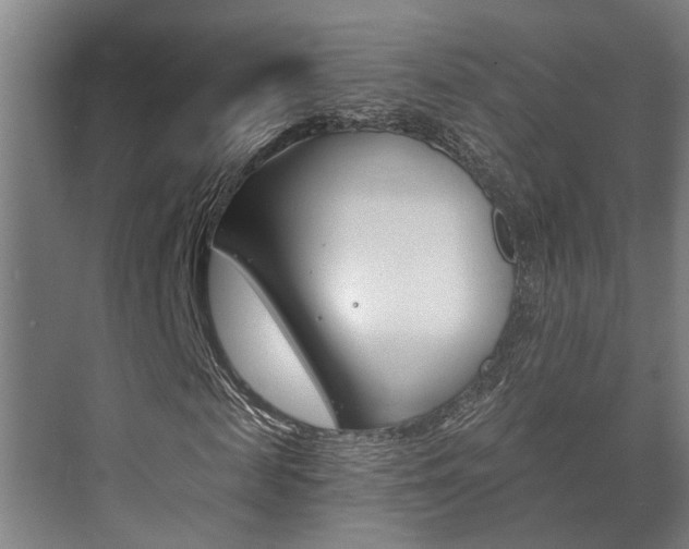 X0000073700817200608031012