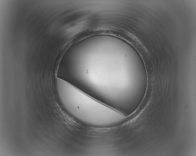 X0000073700825200608031012