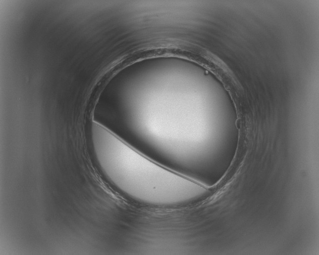 X0000073700826200608031012