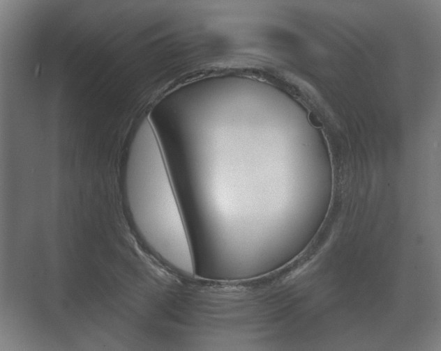 X0000073700833200608031012