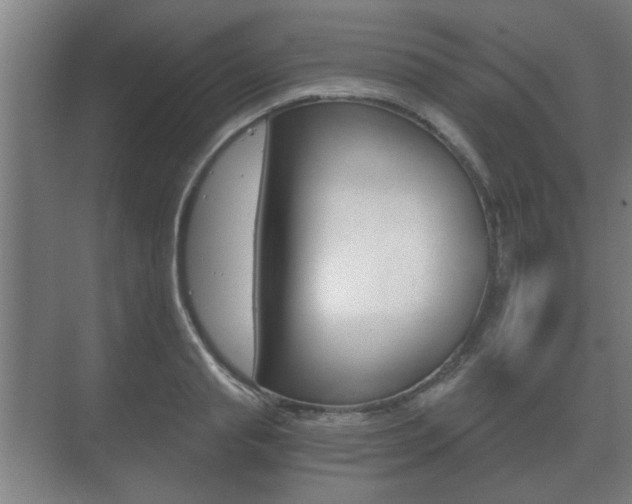 X0000073700845200608031012