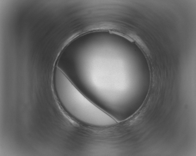 X0000073700850200608031013
