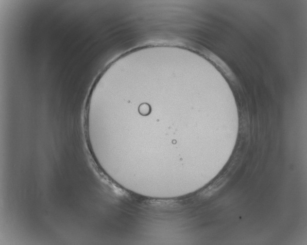 X0000073700856200608031013