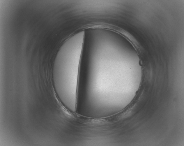 X0000073700857200608031013