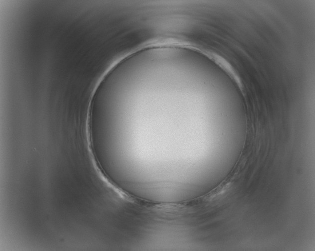 X0000073700863200608031013