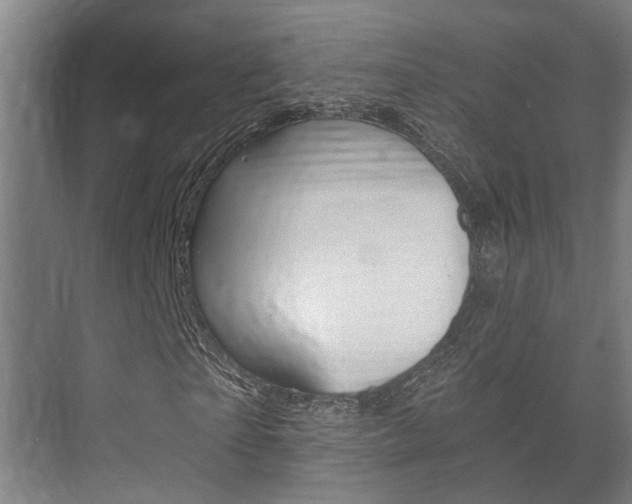 X0000073700865200608031012