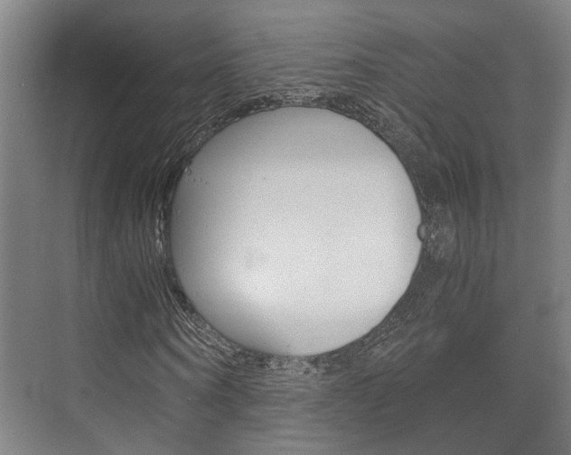 X0000073700866200608031012