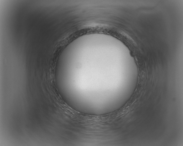 X0000073700869200608031012
