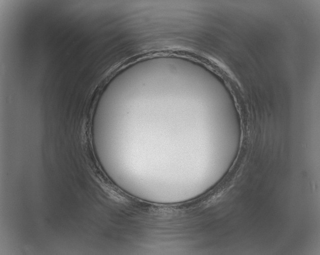 X0000073700873200608031012