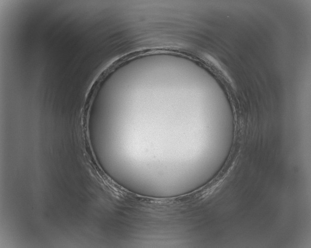 X0000073700875200608031012