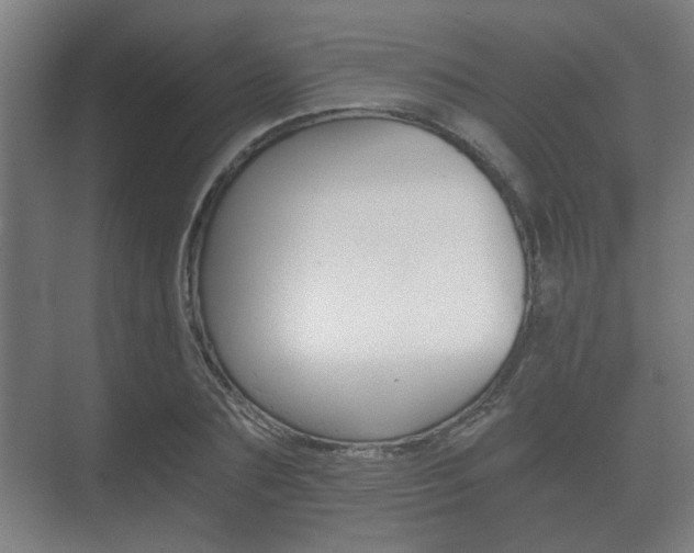 X0000073700883200608031012