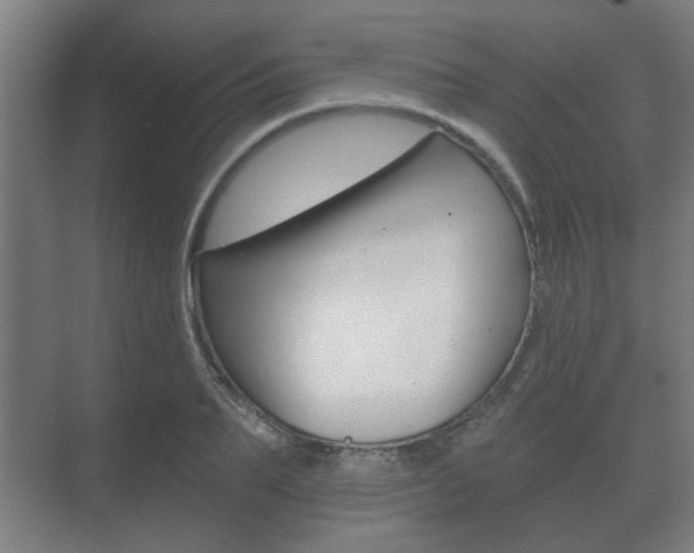X0000073700887200608031012