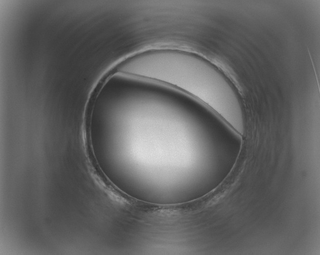 X0000073700888200608031012