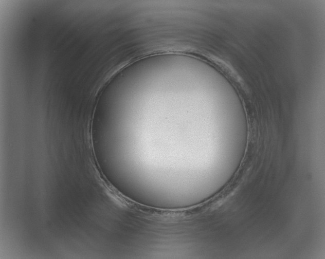 X0000073700889200608031012