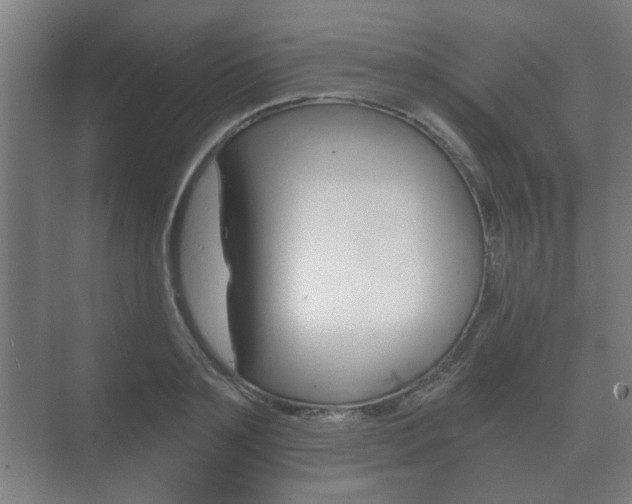 X0000073700891200608031012