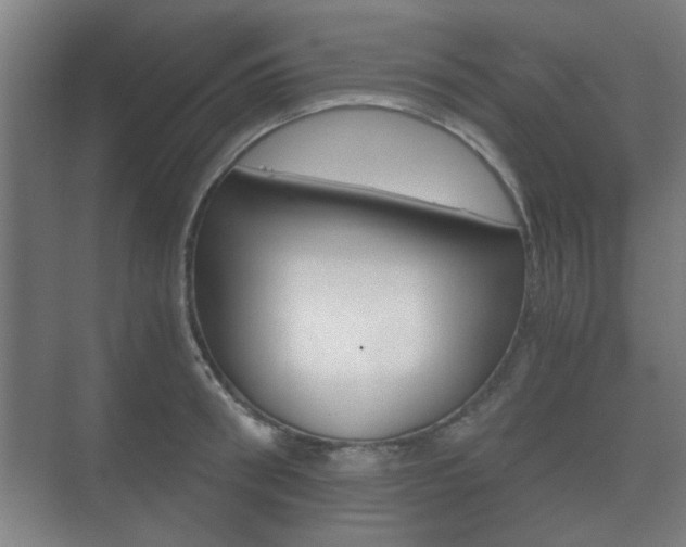 X0000073700898200608031011