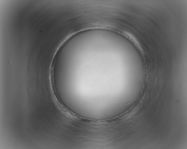 X0000073700899200608031011