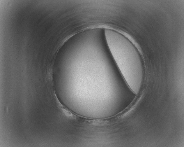 X0000073700905200608031011