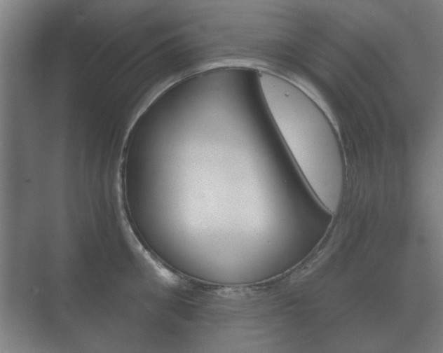 X0000073700906200608031011