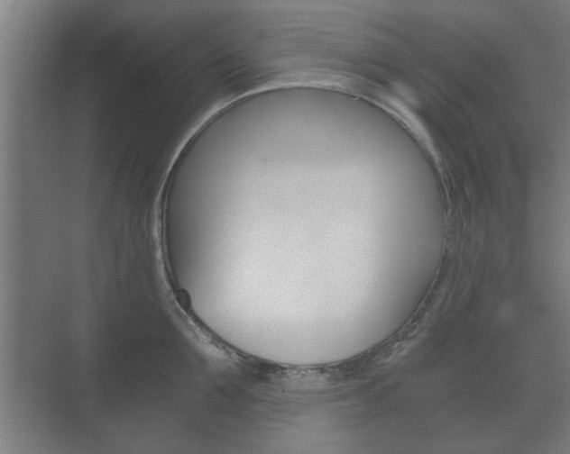 X0000073700907200608031011
