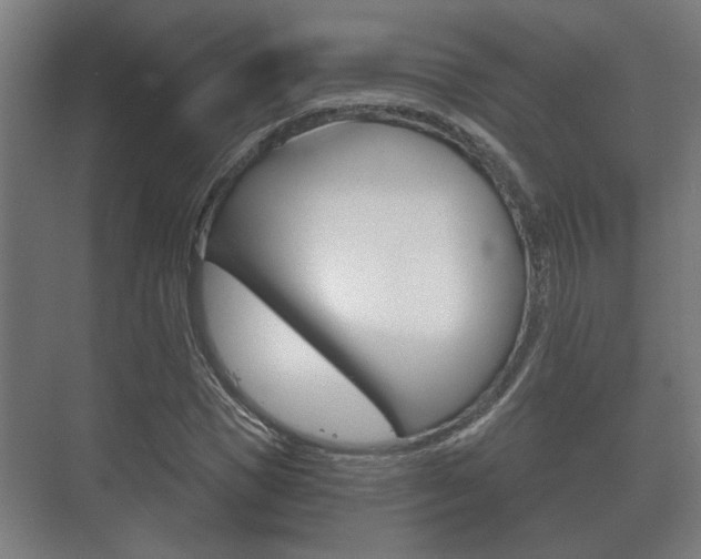 X0000073700921200608031010