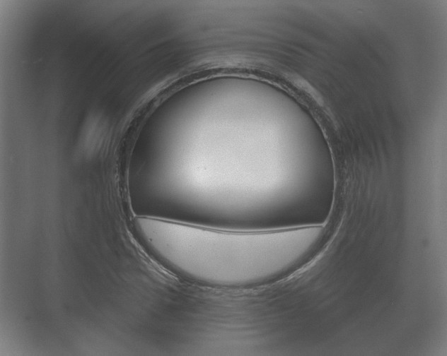 X0000073700922200608031011