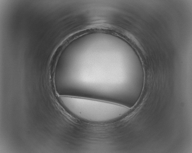 X0000073700923200608031011