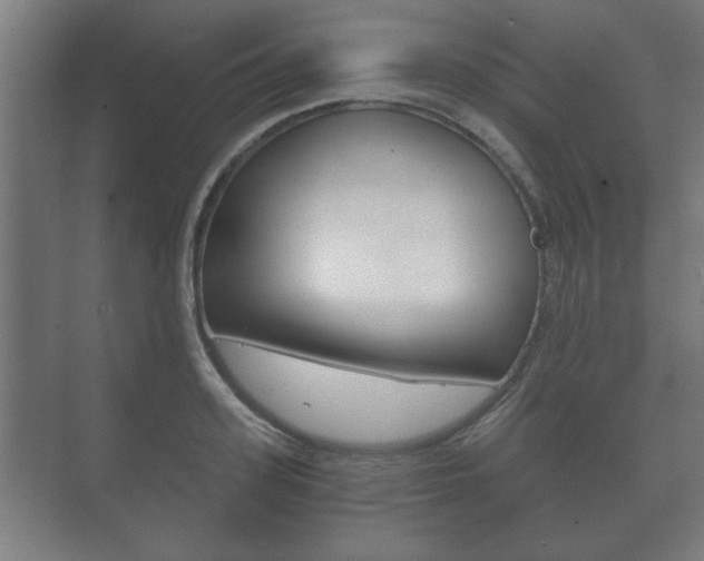 X0000073700939200608031011