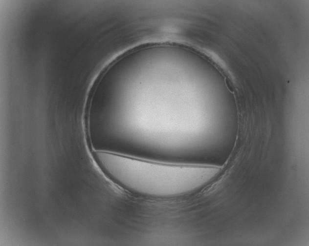 X0000073700943200608031011