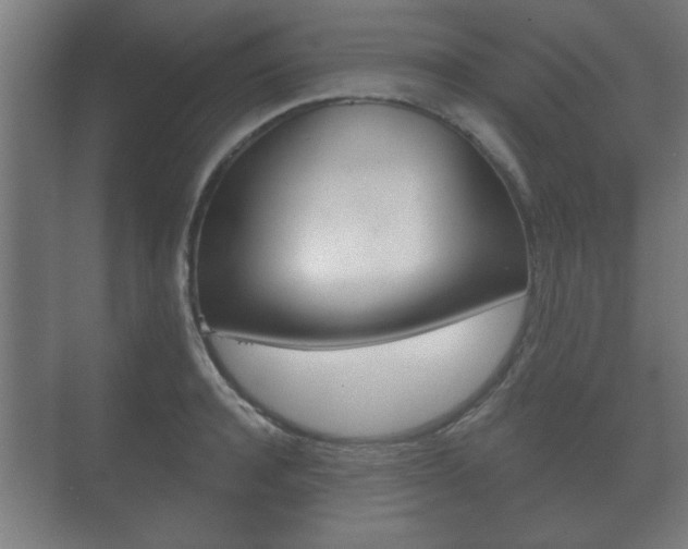 X0000073700944200608031011