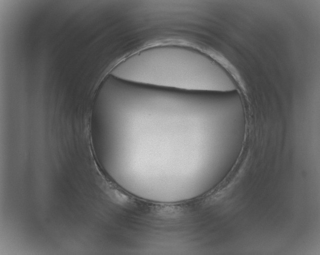 X0000073700945200608031011