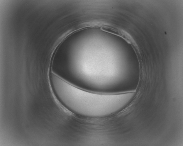 X0000073700946200608031011