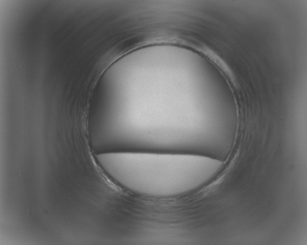 X0000073700953200608031011