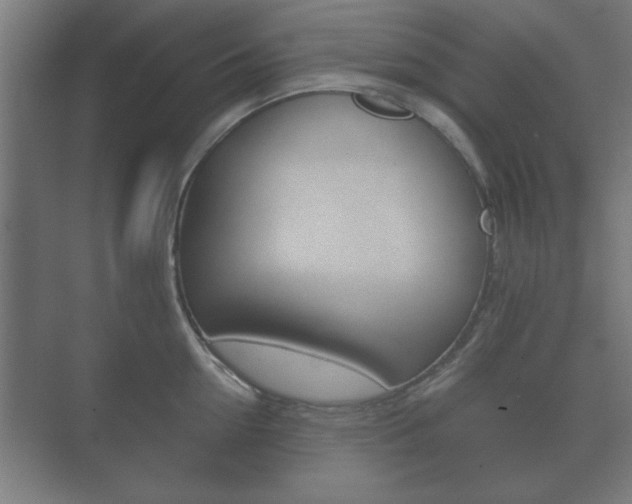 X0000073700954200608031011