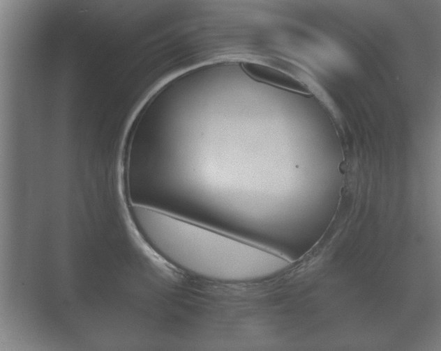 X0000073700955200608031011